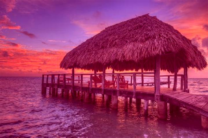Amelia, 27 — Escort in Paraiso, Belize