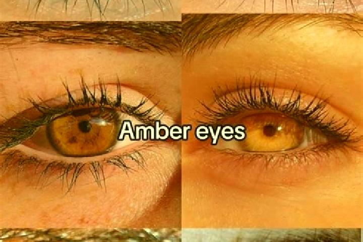 Amelia, 28, a chestnut amber-eyed middle eastern companion based in San Francisco Mihualtepec. Offering Tantra, Girlfriend Experience, A-Level, Duos. Availab...