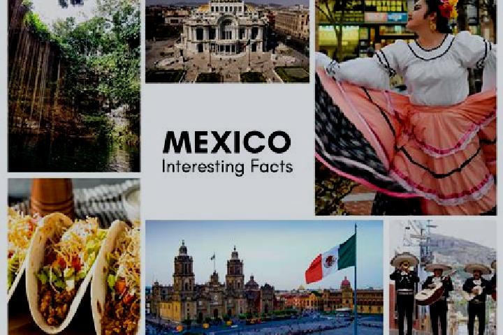 Amelia, 28 — Escort in Ascension, Mexico