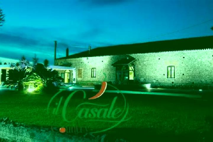 Amelia, 28 — Escort in Feroleto Antico, Italy