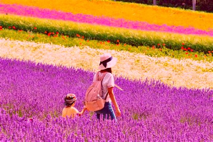 Amelia, 28 — Escort in Kami-furano, Japan