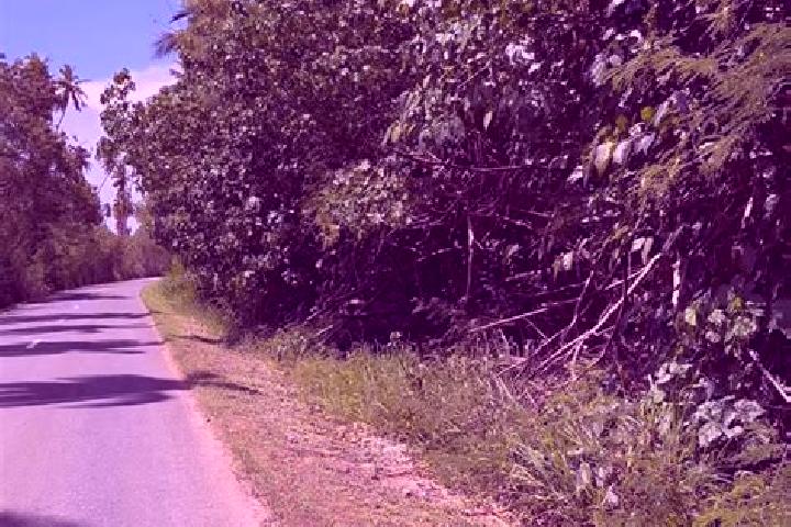 Amelia, 28 — Escort in Lakatoro, Vanuatu