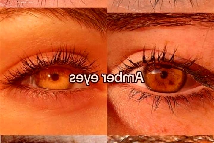 Amelia, 29, a chestnut amber-eyed european companion based in Piracema. Offering CIM, Overnight, Massage, GFE. Available for incall and outcall, overnight bo...