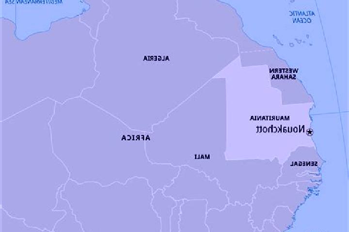 Amelia, 29 — Escort in Dar Naim, Mauritania