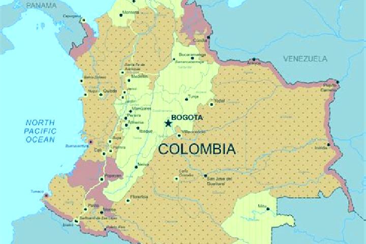 Amelia, 29 — Escort in El Tambo, Colombia