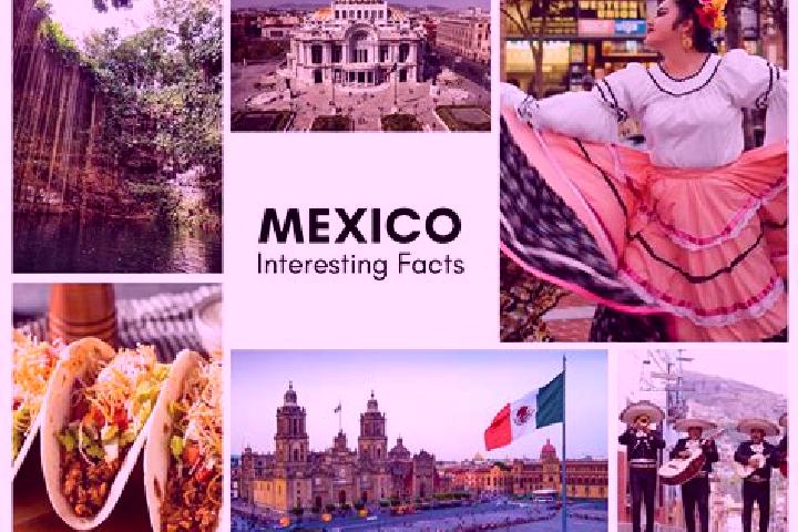 Amelia, 29 — Escort in La Zafra, Mexico