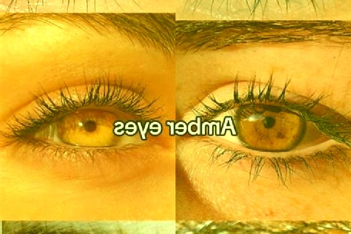Amelia, 30, a chestnut amber-eyed mixed companion based in Berrechid. Offering Dinner Date, Prostate Massage, Couples, Massage. Available for incall and outc...