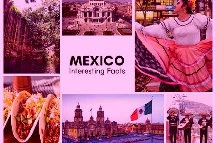 Amelia, 30 — Escort in La Sombra, Mexico