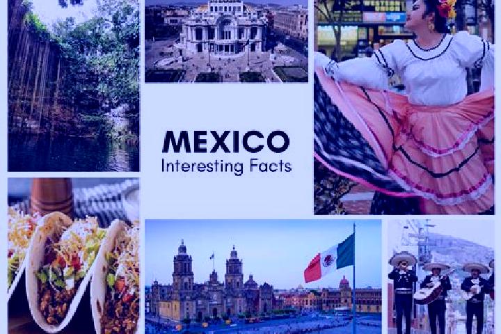 Amelia, 30 — Escort in Rosario, Mexico