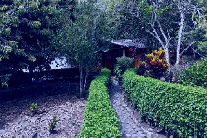 Amelia, 30 — Escort in Tumbabiro, Ecuador