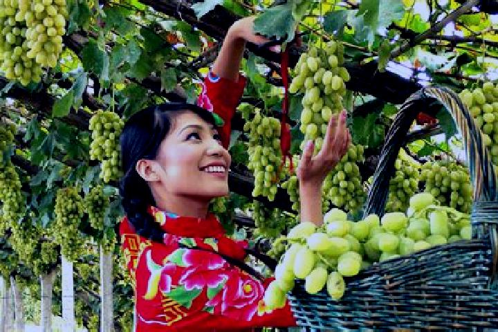 Amelia, 30 — Escort in Xuanhua, China