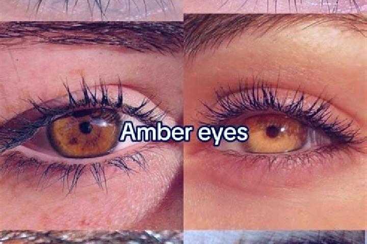 Amelia, 31, a chestnut amber-eyed middle eastern companion based in Montolivet. Offering Dinner Date, BDSM, Couples, Erotic Massage, Deep French Kissing. Ava...