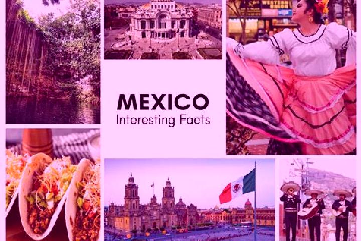 Amelia, 31 — Escort in Capulin, Mexico