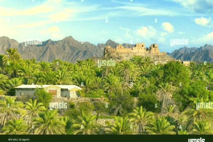 Amelia, 31 — Escort in Rustaq, Oman