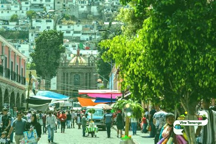 Amelia, 31 — Escort in Santiago Tenango, Mexico