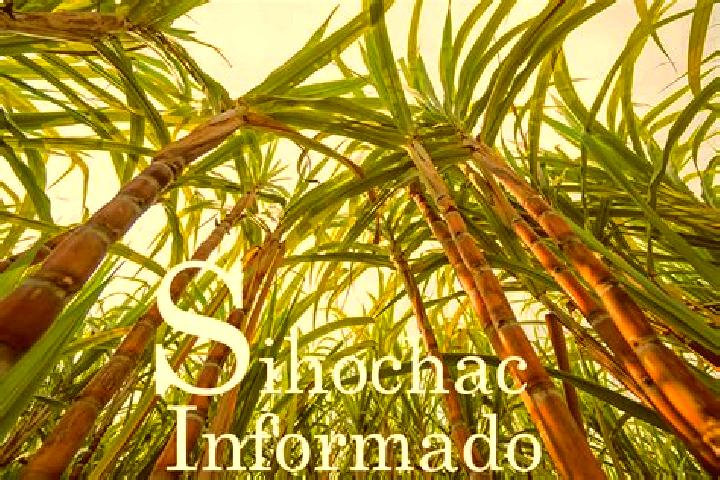 Amelia, 31 — Escort in Sihochac, Mexico