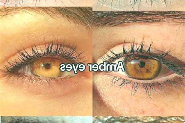 Amelia, 32, a chestnut amber-eyed middle eastern companion based in Samthar. Offering OWO, Girlfriend Experience, GFE. Available for incall and outcall, over...