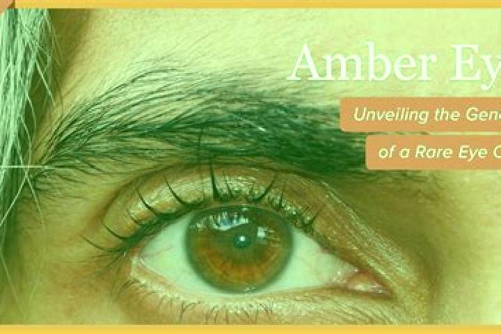 Amelia, 32, a red amber-eyed slavic companion based in Pishchiv. Offering Duos, Couples, Striptease, A-Level. Available for incall and outcall, overnight boo...