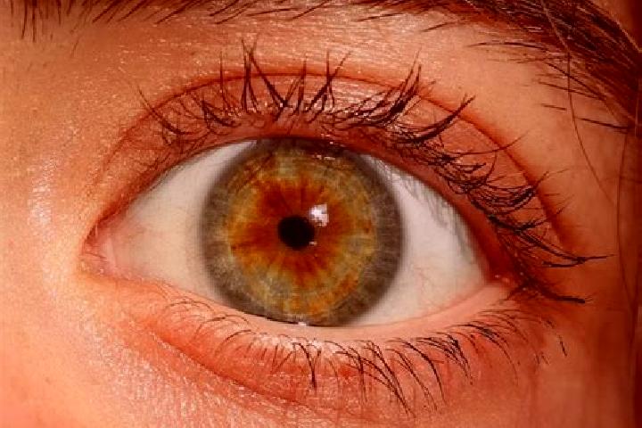 Amelia, 32, a red hazel-eyed indian companion based in Diablo. Offering A-Level, Tantra, Overnight. Available for incall and outcall, day and evening dates.