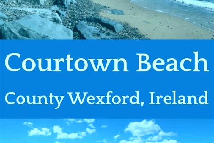 Amelia, 32 — Escort in Courtown, Ireland