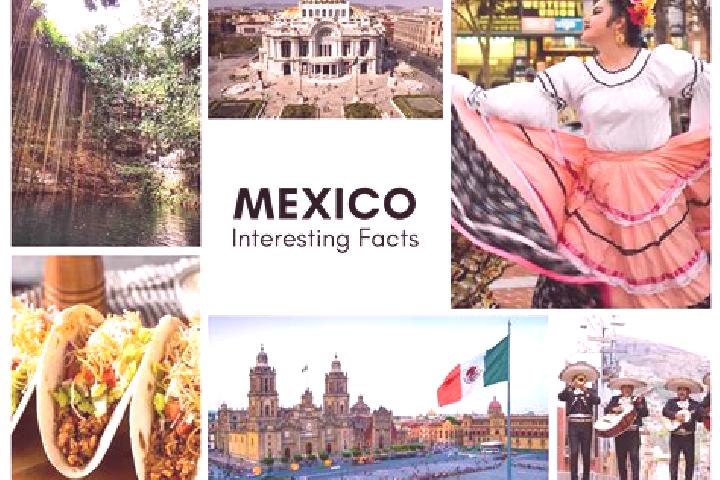 Amelia, 32 — Escort in El Saneal, Mexico