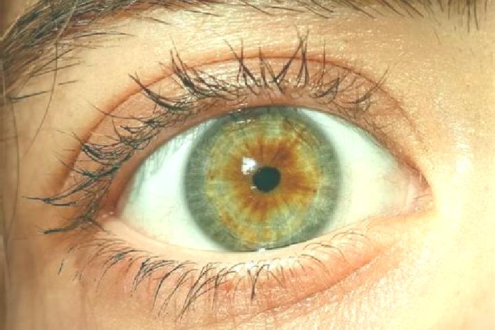 Amelia, 33, a red hazel-eyed mediterranean companion based in Spijk. Offering OWO, Fetish, Duos, 69. Available for incall and outcall, day and evening dates.