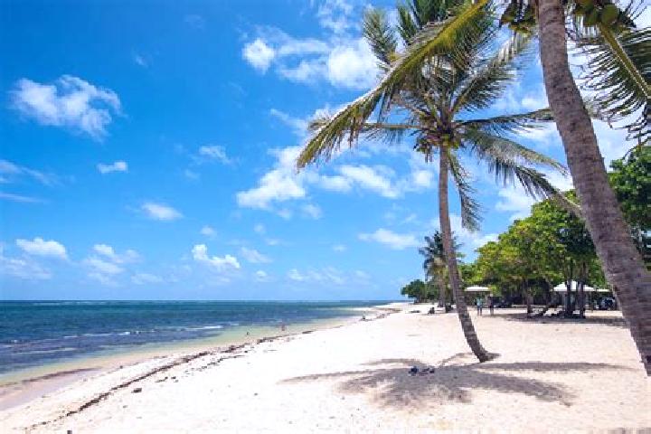 Amelia, 33 — Escort in Le Moule, Guadeloupe