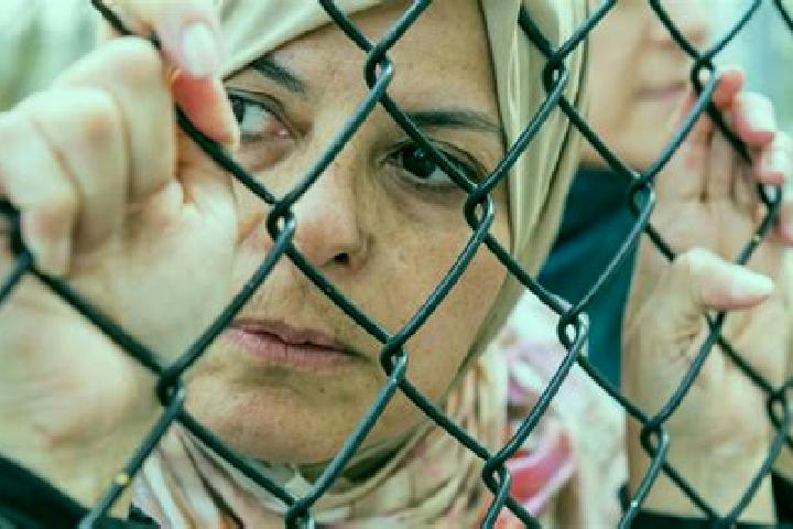 Amelia, 33 — Escort in Qaffin, Palestine