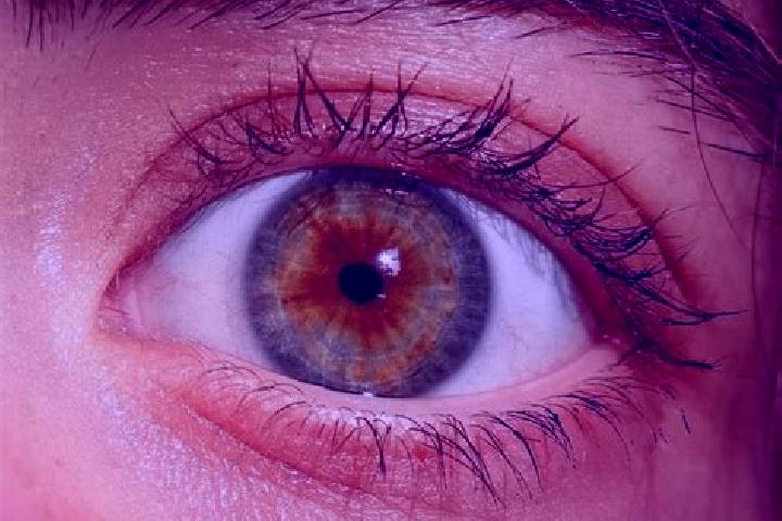 Amelia, 34, a red hazel-eyed european companion based in Musgravetown. Offering 69, Domination, Roleplay. Available for incall and outcall, day and evening d...