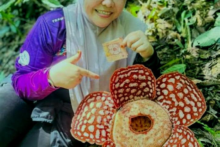 Amelia, 34 — Escort in Kampung Bongor, Malaysia