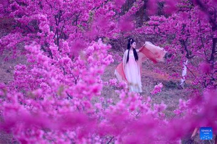 Amelia, 34 — Escort in Quchi, China