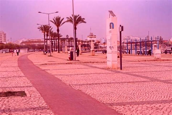 Amelia, 34 — Escort in Ribeirinha, Portugal