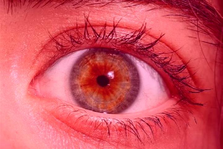 Amelia, 35, a red hazel-eyed asian companion based in Mazingarbe. Offering 69, BDSM, Tantra. Available for incall and outcall, overnight bookings available.