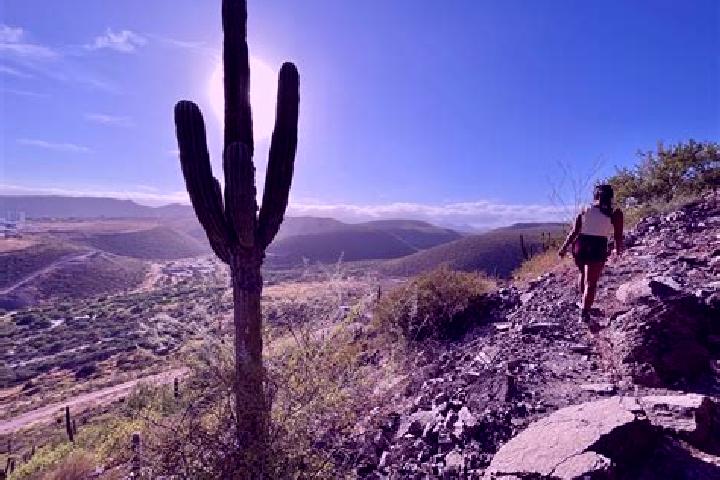 Amelia, 35 — Escort in Cerro de Leon, Mexico