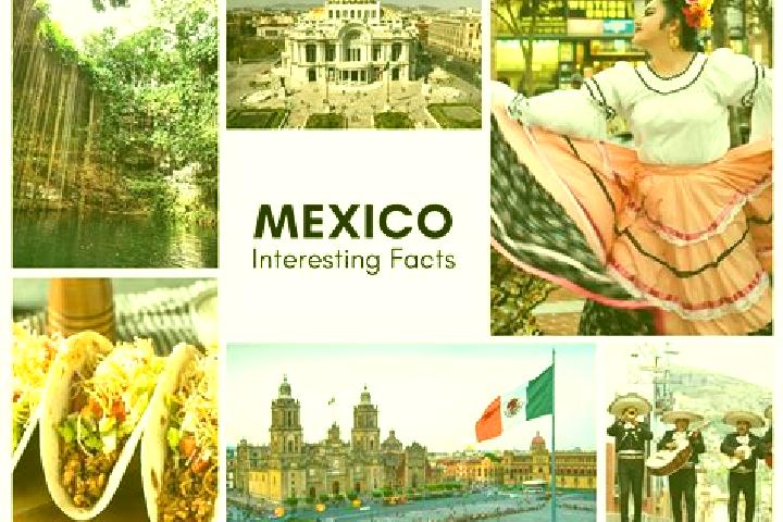 Amelia, 35 — Escort in Cora, Mexico