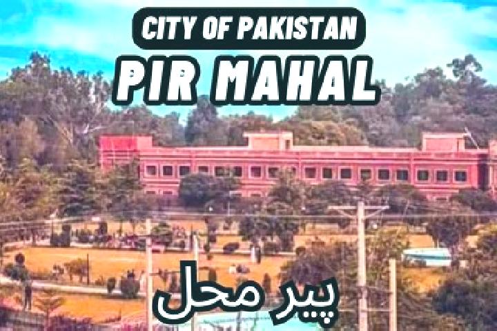 Amelia, 35 — Escort in Pir Mahal, Pakistan