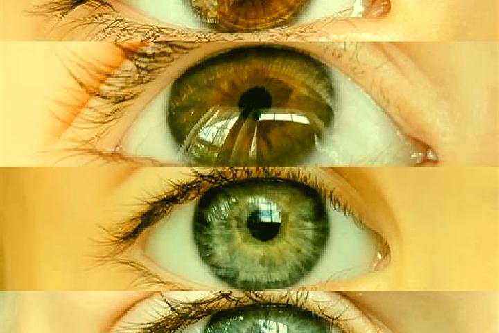 Amelia, 36, a chestnut hazel-eyed caucasian companion based in Rantum. Offering Duos, 69, A-Level. Available for incall and outcall, overnight bookings avail...