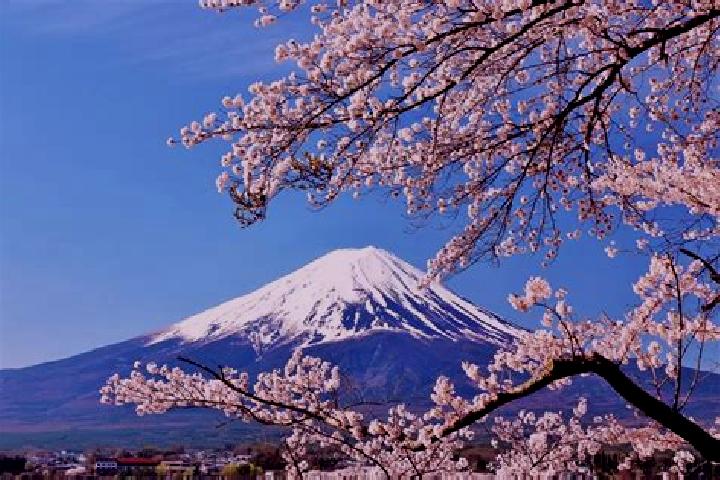 Amelia, 36 — Escort in Koshi, Japan