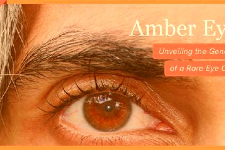Amelia, 37, a black amber-eyed middle eastern companion based in Kuhbach. Offering CIM, Erotic Massage, A-Level, Massage, Dinner Date. Available for incall a...