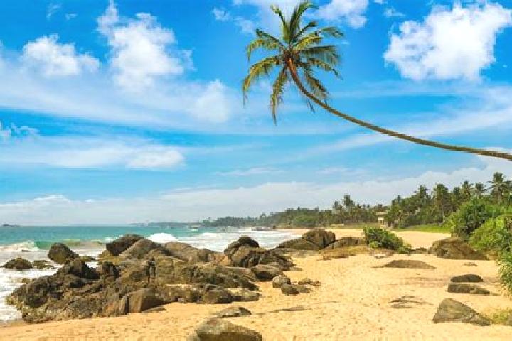 Amelia, 37 — Escort in Ambalangoda, Sri Lanka