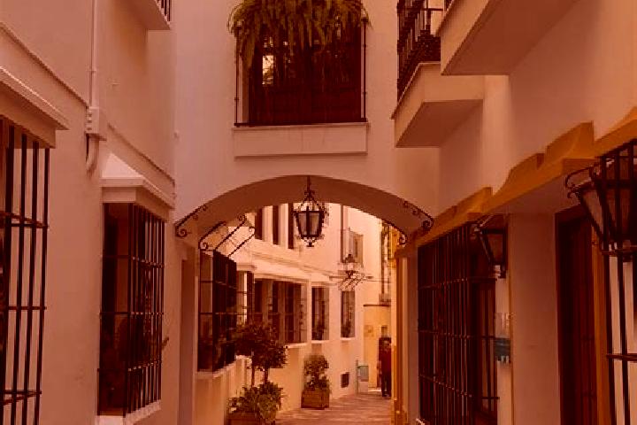Amelia, 37 — Escort in Barlovento, Spain