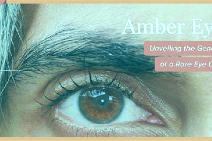 Amelia, 38, a black amber-eyed ebony companion based in Srirampuram. Offering BDSM, Travel Companion, Fetish, Overnight, Party Girl. Available for incall and...