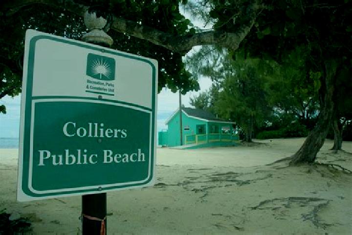 Amelia, 38 — Escort in Colliers, Cayman Islands
