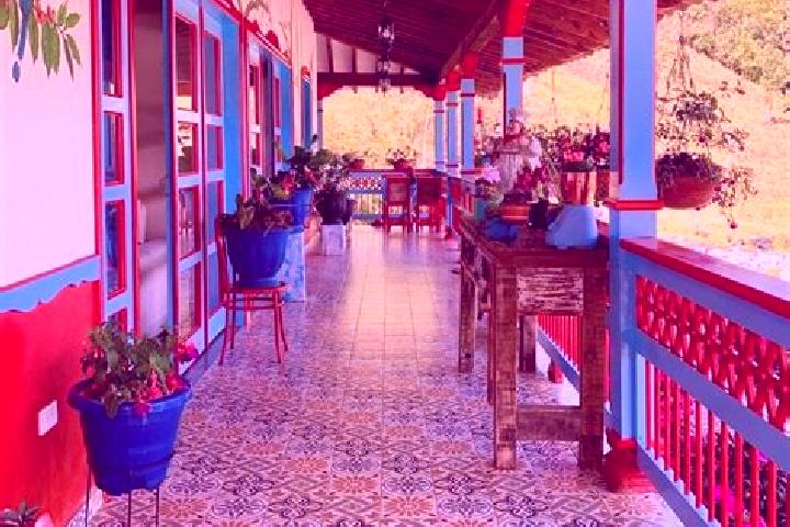 Amelia, 38 — Escort in Colonia Campesina, Mexico