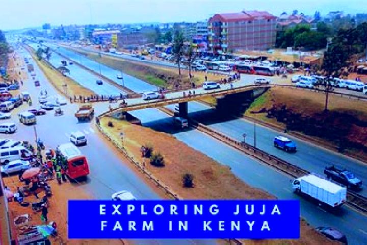 Amelia, 38 — Escort in Juja, Kenya