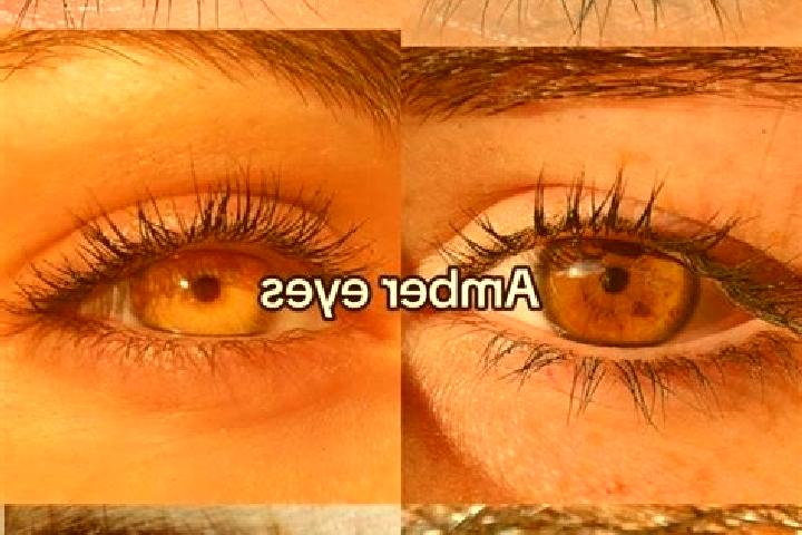 Amelia, 39, a brunette amber-eyed european companion based in Tahla. Offering BDSM, Party Girl, Travel Companion, Dinner Date. Available for incall and outca...