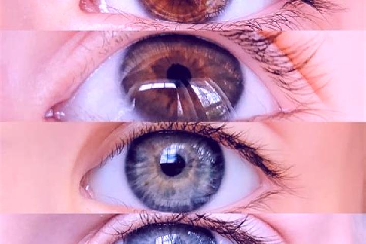 Amelia, 39, a chestnut grey-eyed middle eastern companion based in Laranja da Terra. Offering CIM, OWO, Fetish. Available for incall and outcall, overnight b...