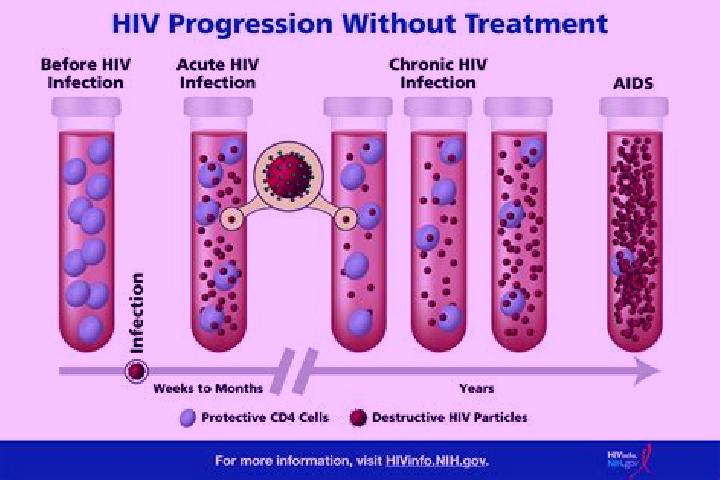 Amelia, 39 — Escort in Hiv, Iran