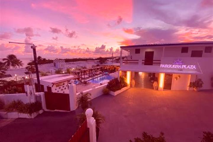 Amelia, 39 — Escort in La Parguera, Puerto Rico