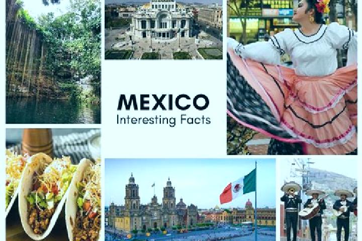 Amelia, 39 — Escort in Miguel Colorado, Mexico